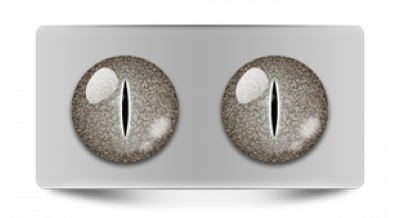 Нестандарт_08015