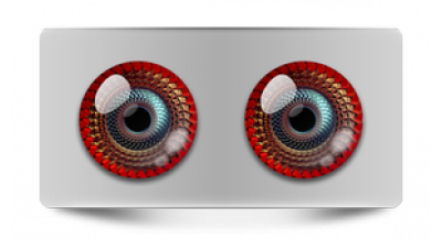 Нестандарт_08024