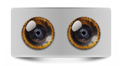 Нестандарт_08188