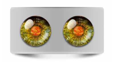 Нестандарт_08204