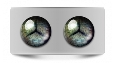 Нестандарт_08220