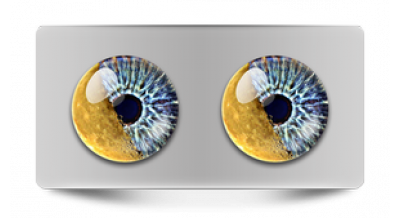 Нестандарт_08238