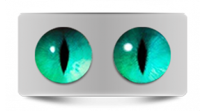 Чеширский кот 00