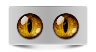 Чеширский кот 07