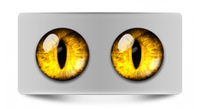 Чеширский кот 08