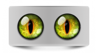 Чеширский кот 10