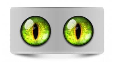 Чеширский кот 11