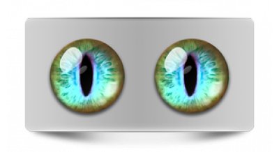 Чеширский кот 19