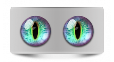 Чеширский кот 21