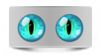 Чеширский кот 24