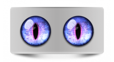 Чеширский кот 37