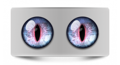 Чеширский кот 38