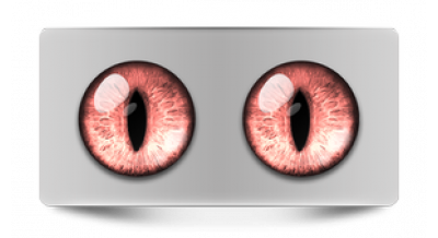 Чеширский кот 49