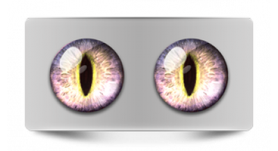 Чеширский кот 51