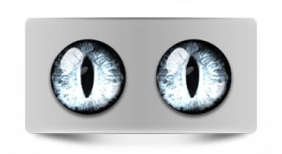 Чеширский кот 55