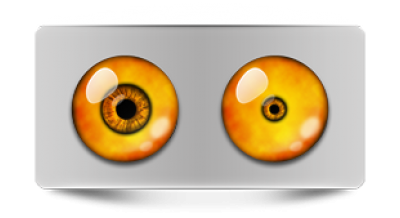 Звериные_sova oO2